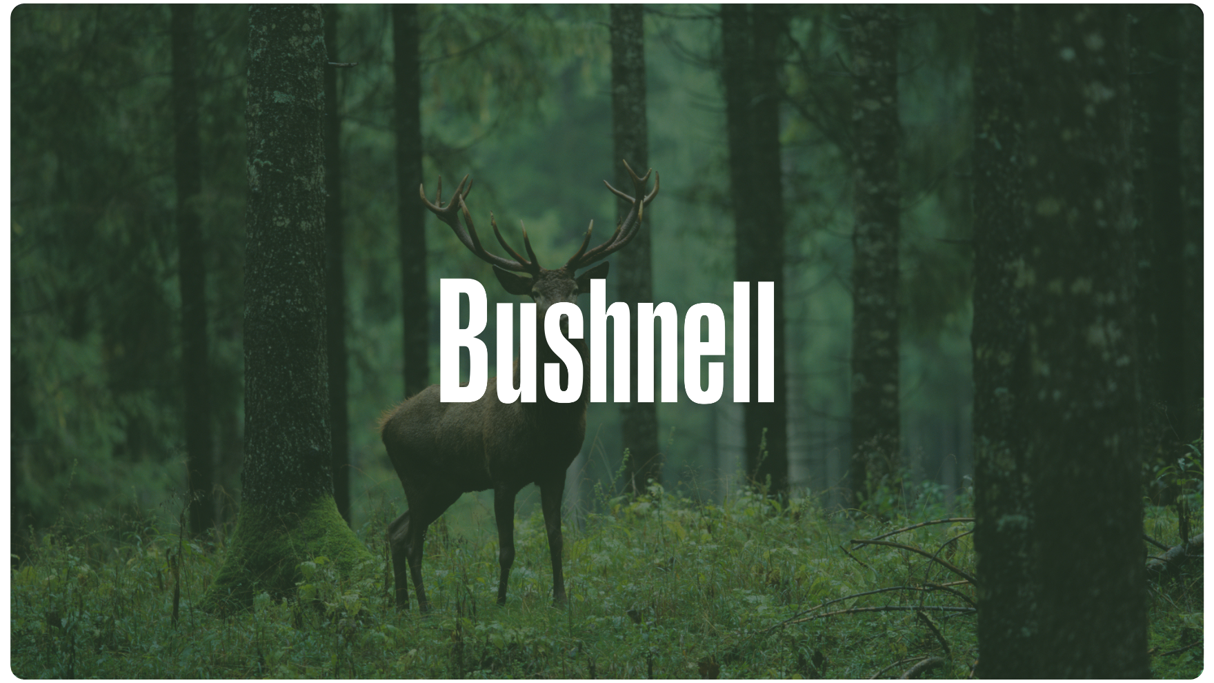 Bushnell