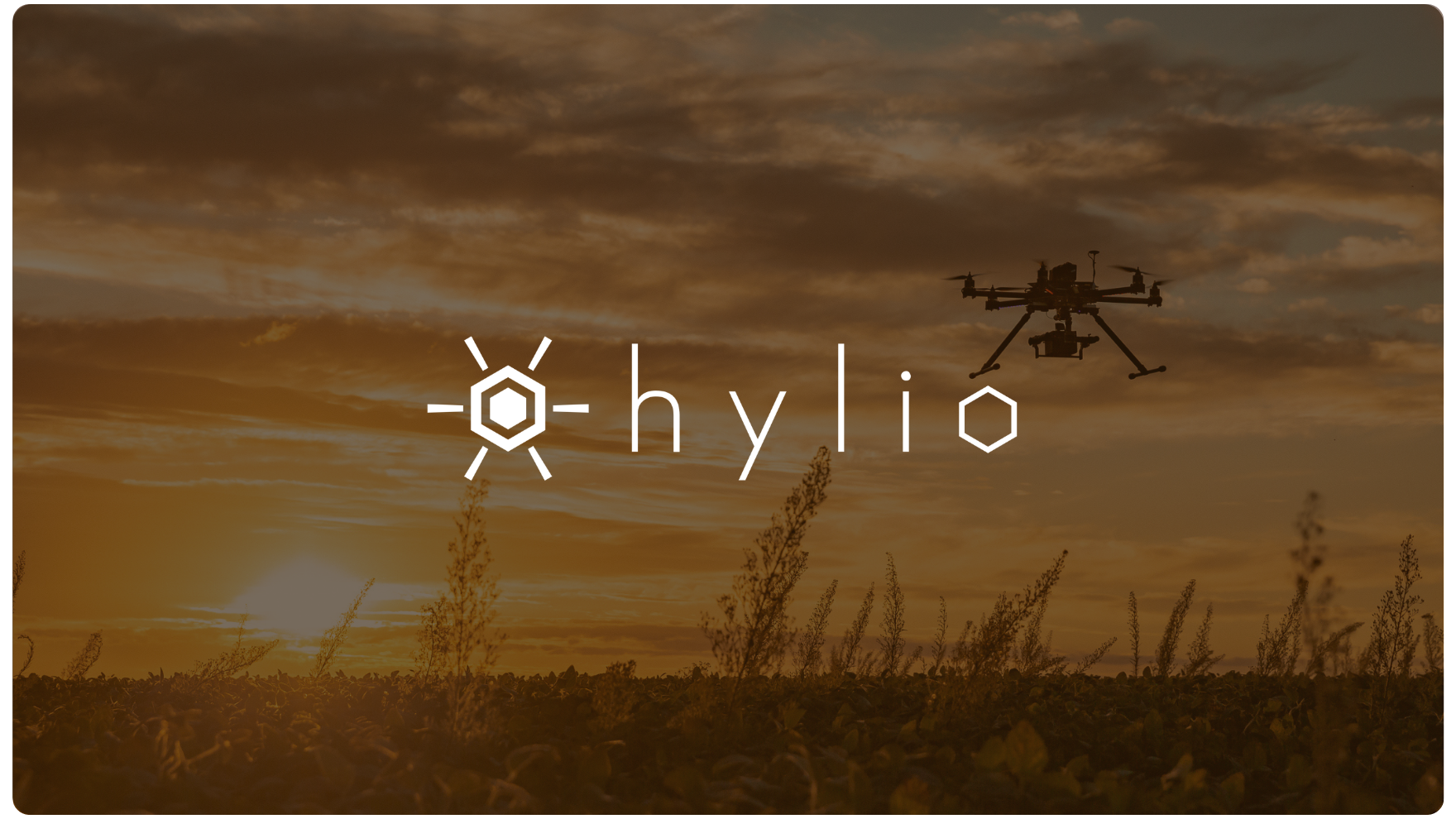 Hylio