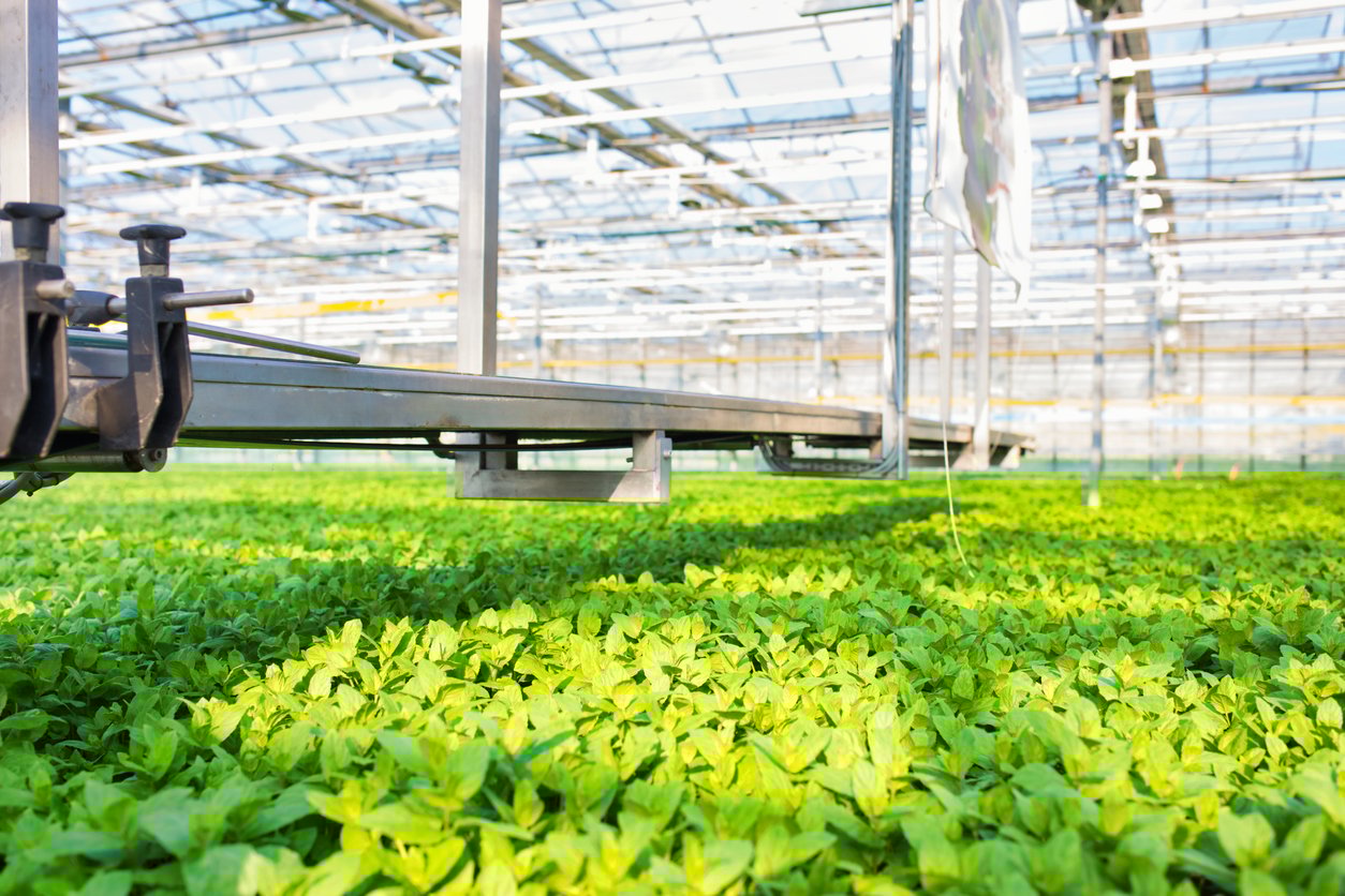 Indoor Greenhouse Ventilation