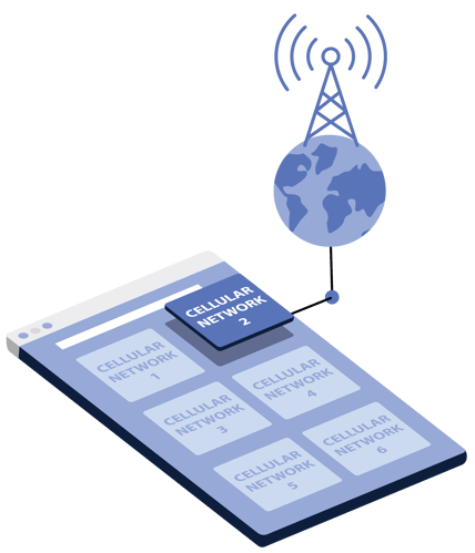 Multi-Carrier IoT Connectivity