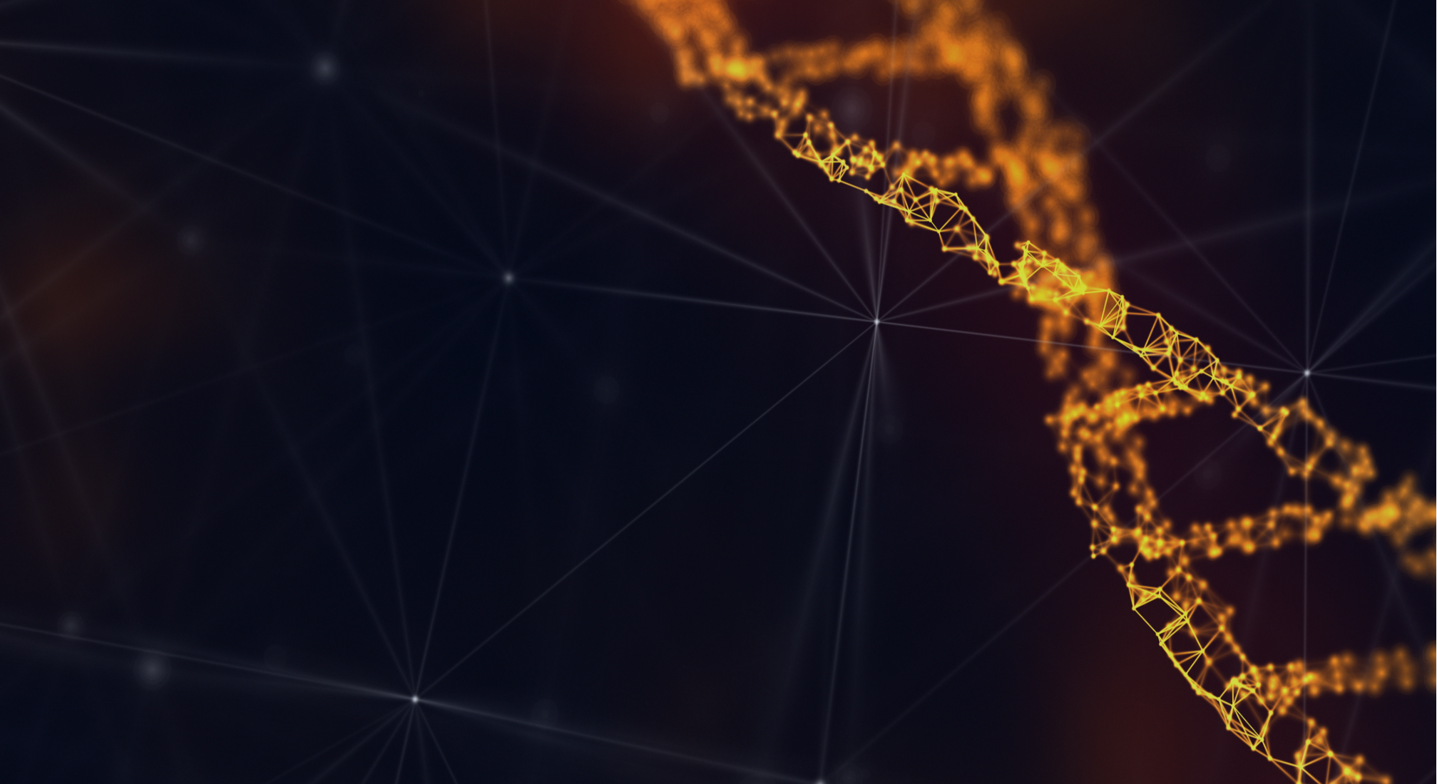 connectivity-1-1