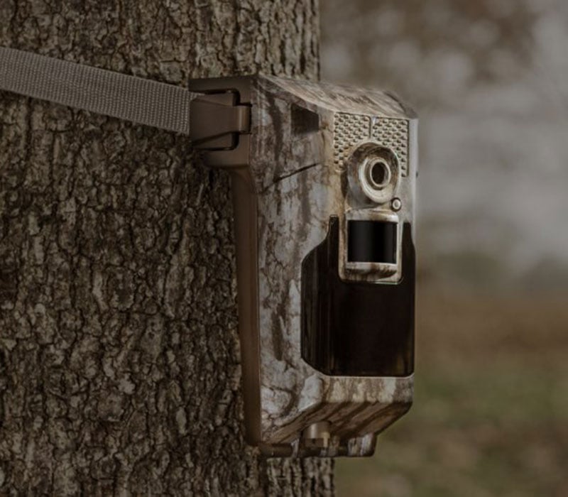 wireless trail camera